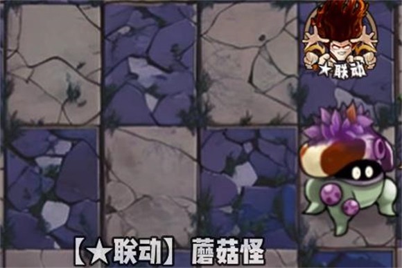 植物大战僵尸神奇植物在哪里版2025最新版本