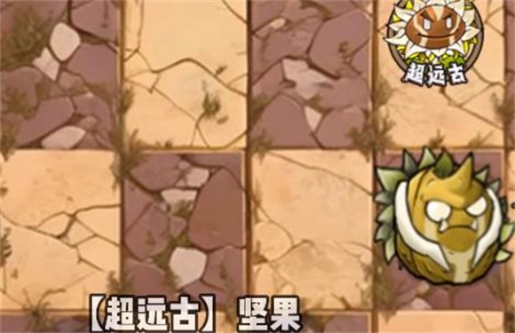 植物大战僵尸神奇植物在哪里版2025最新版本