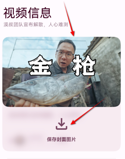 忻视Down解析工具