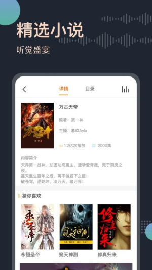 听书王手机版