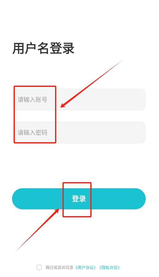 依蛋守护