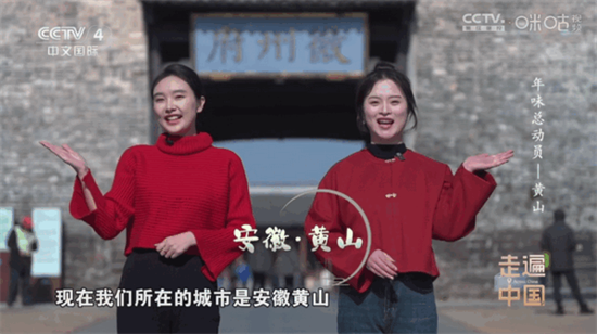 悠悠电视tv版app免费版
