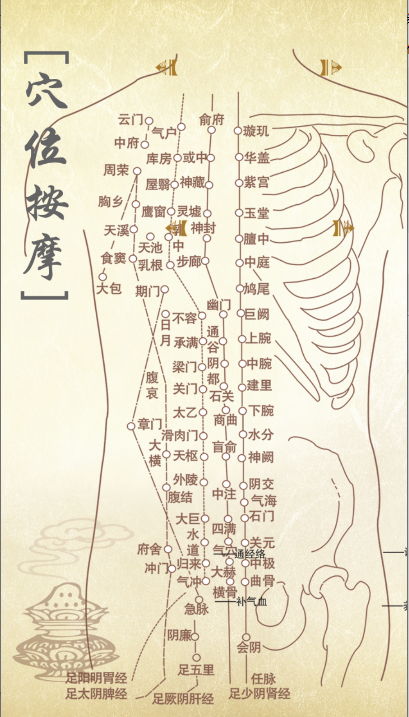 穴位按摩宝典app免费版