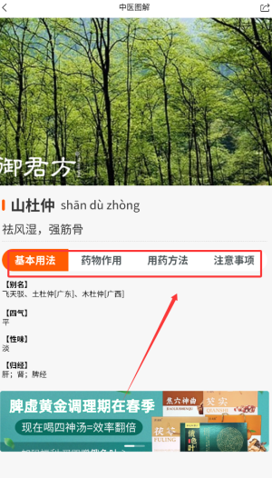 芳华未来
