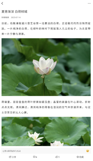 香见