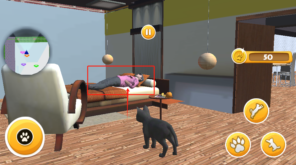 宠物猫狗之家