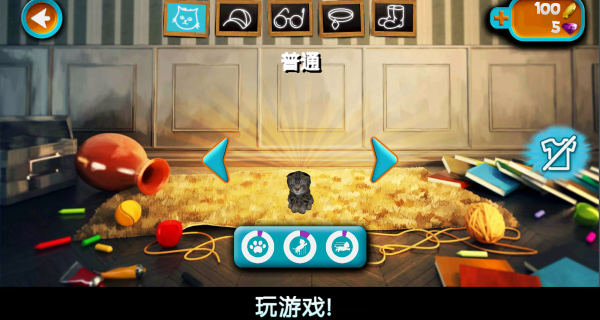 奶奶的小猫