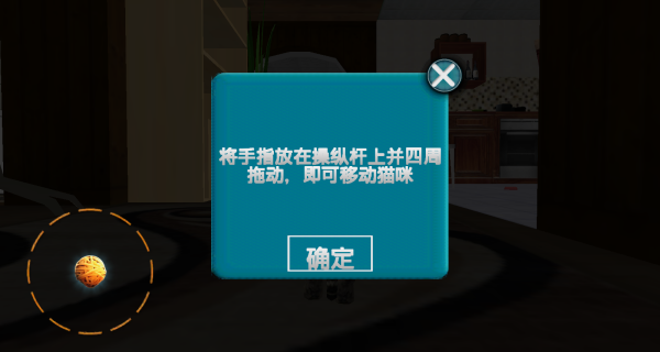 奶奶的小猫