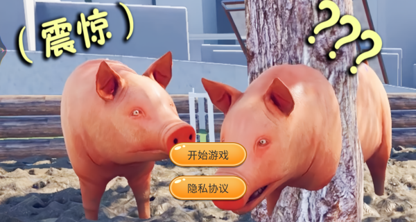 小猪开派对