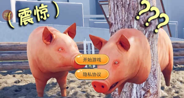 小猪派对