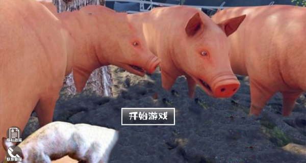 猪生模拟器