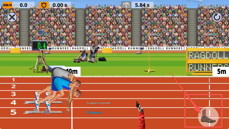 ragdoll runners