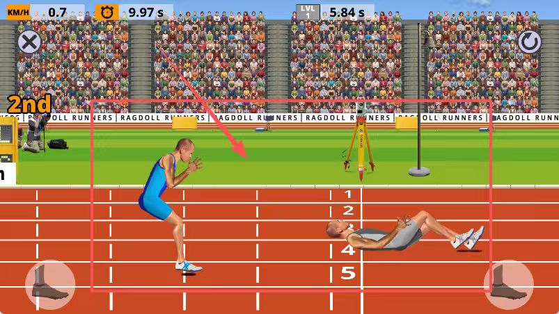 ragdoll runners