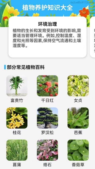 手机文字放大