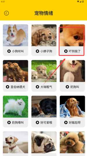 人狗翻译神器