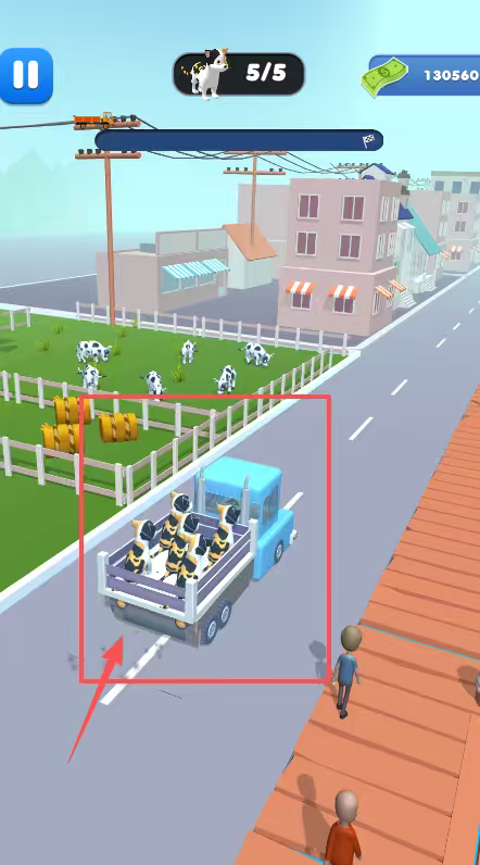 运送动物卡车