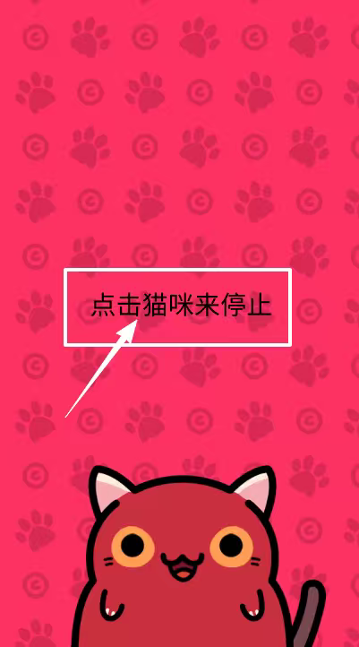 偷窃的猫