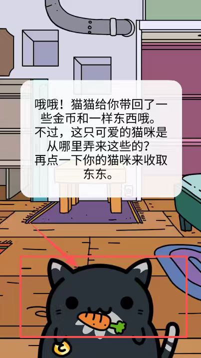 偷窃的猫