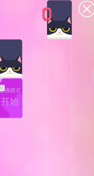 猫咪与球