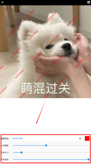 速点Mark相机