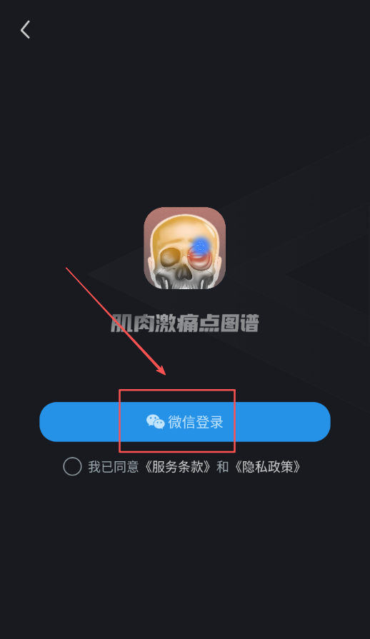 肌肉激痛点图谱