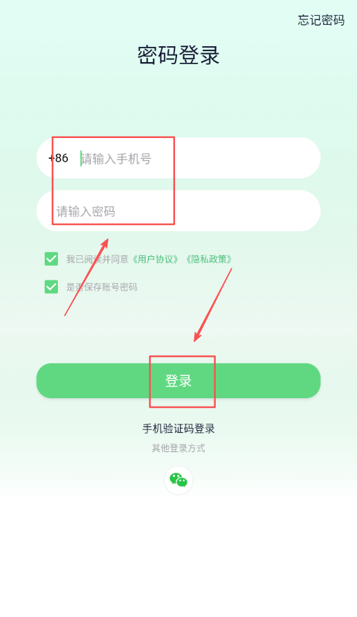 春笋宝贝