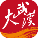 大武汉客户端下载2026最新版
