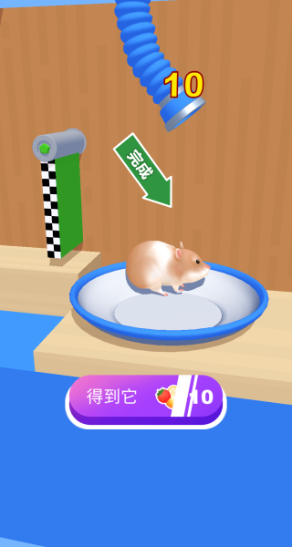 小鼠探险记
