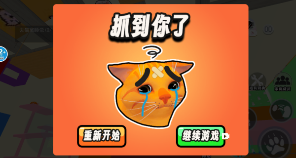 小猫咪快乐生活