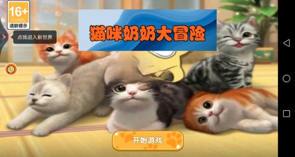 猫咪奶奶大冒险