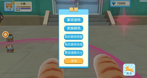 猫咪奶奶大冒险