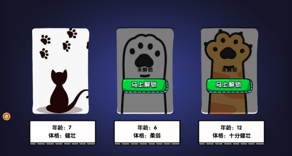 老猫探险纪