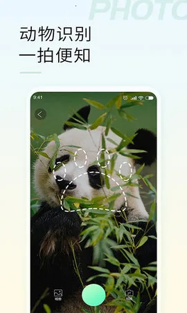 智能拍照识物最新安卓版v1.3.2(3)