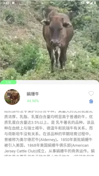 智能拍照识物最新安卓版
