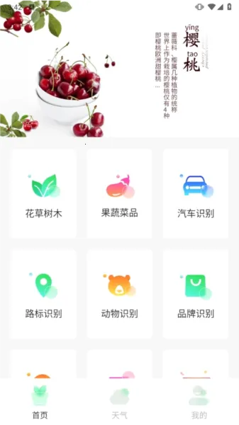 智能拍照识物最新安卓版