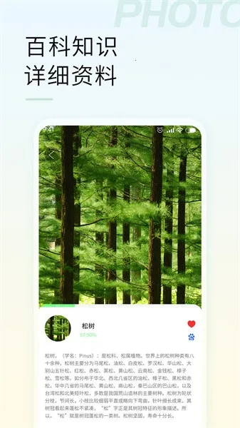 智能拍照识物最新安卓版v1.3.2(4)