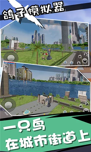鸽子模拟器(鸽子模拟游戏)v1.0.0(4)