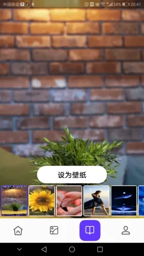 皮皮助手2025手机版