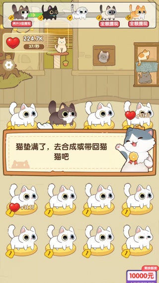 冲个毛线