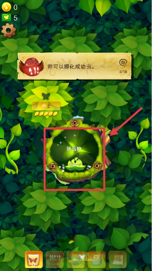 彩翼蝴蝶