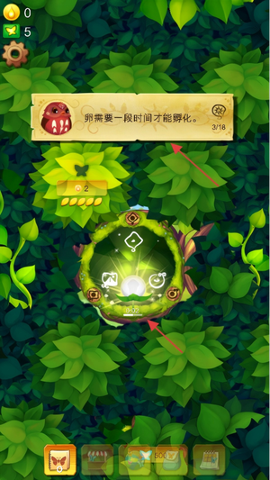 彩翼蝴蝶