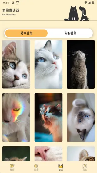 萌猫公园日常(宠语翻译通)