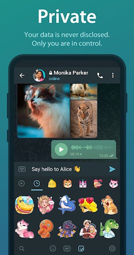 Telegram(私密聊天佳)v12.0.1(1)