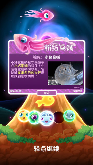 超级星鱼苹果版v4.1.8(4)