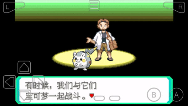 口袋妖怪究极绿宝石5.4手机版(3)