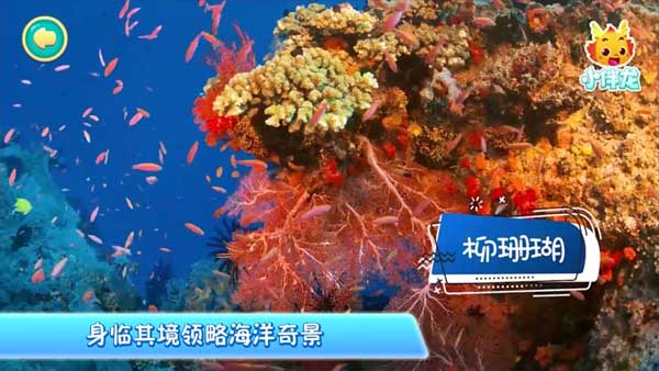 小伴龙海洋世界苹果版v1.15.1(4)