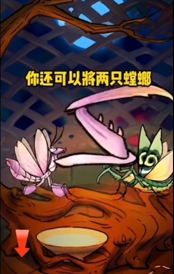 极品螳螂