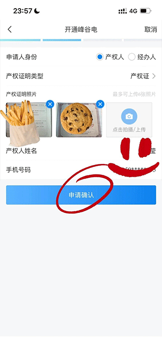 国家电网app苹果版