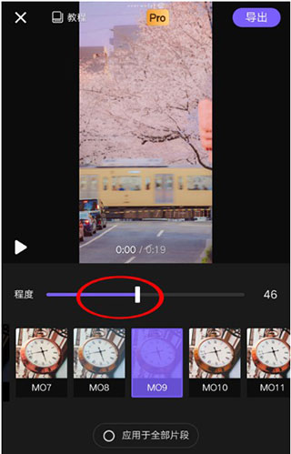 vivacut苹果版