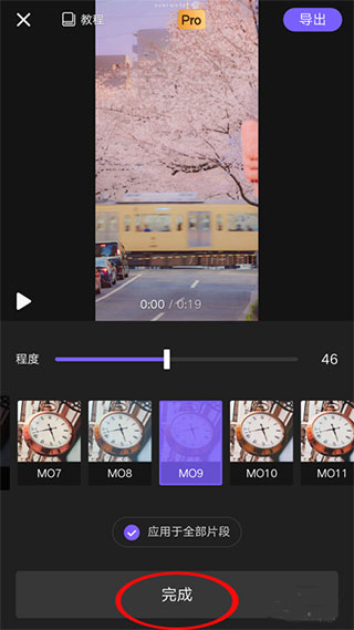 vivacut苹果版